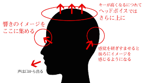 ダウンロード (2)