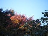 2010����
