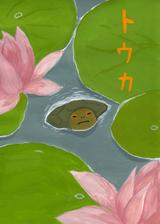 kamekiti