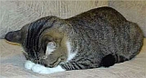 ade0f978.jpg