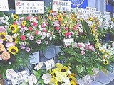 お祝いの花々