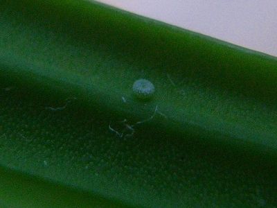 20101003_1200102