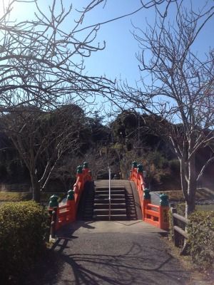 20120220_104342