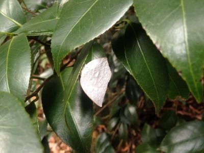 20120219_152452