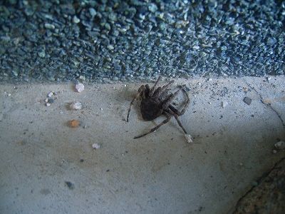 20101010_164330