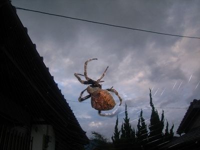 20101003_172355