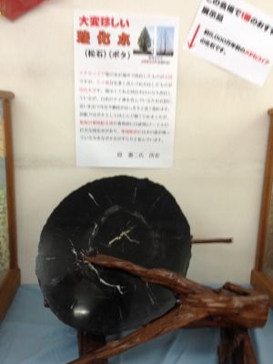 20120215_140021