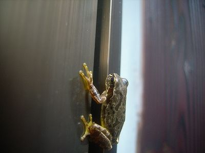 20101003_132658