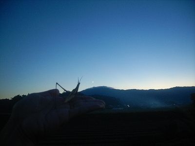 20101010_181242