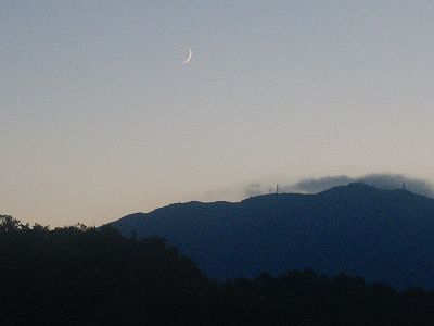 20101010_1801371