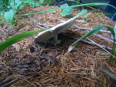 20101003_133912