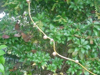 20101004_130458
