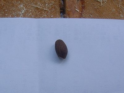 20101004_130953