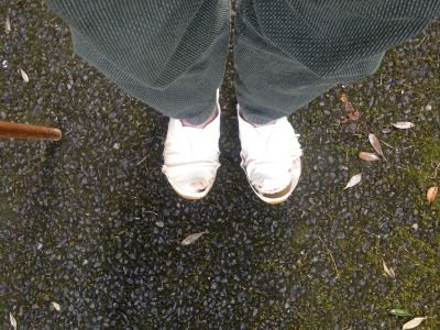20120219_151427