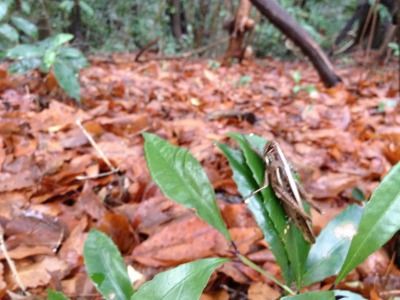 20120215_155433