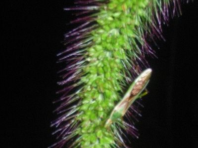 20101001_225923