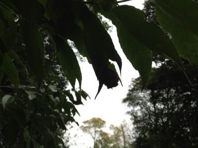 20120215_162019