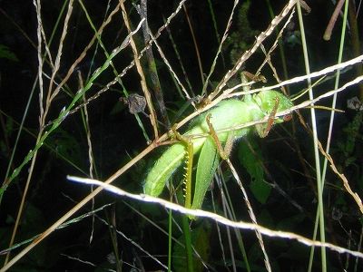 20101001_225249
