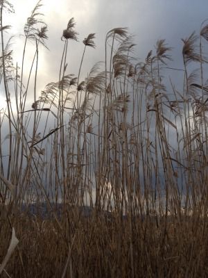 20120209_163919