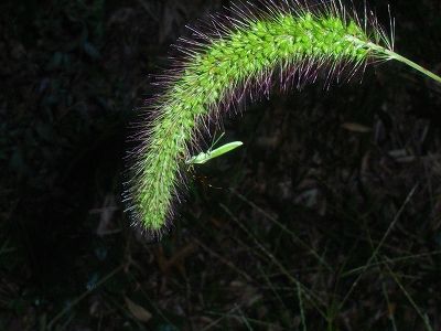 20101001_225908