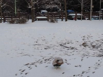 20120219_172902