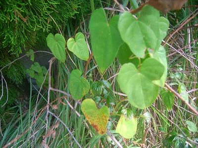 20101004_130701