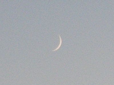 20101010_1801372