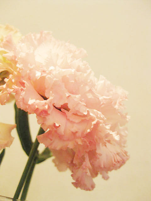 IMG_6665.jpg