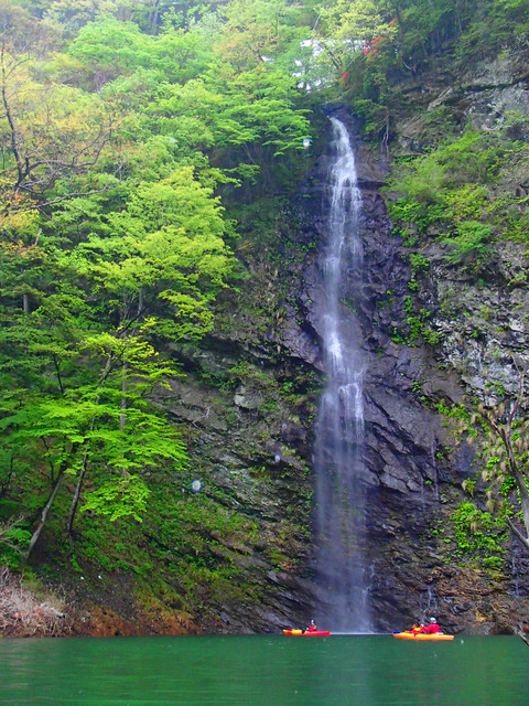 ~P5050023