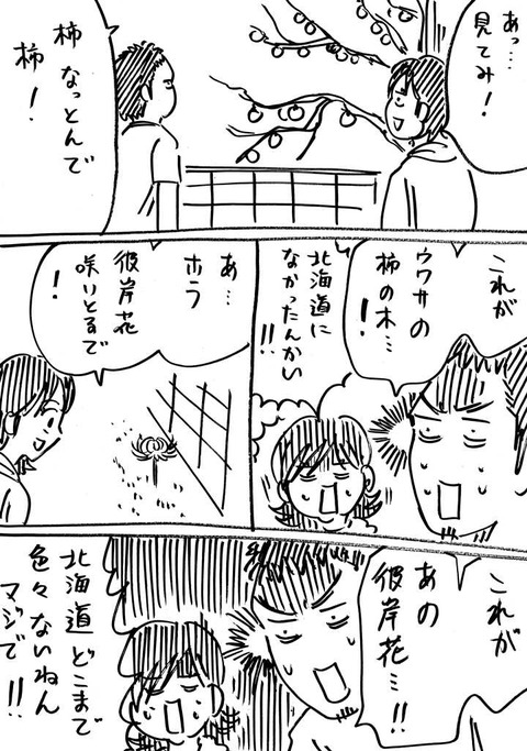柿の木