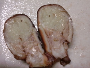 CIMG1196