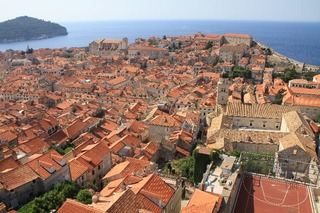 IMG_7919