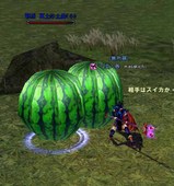 Àµ¼ÙÀ磻¥Ù