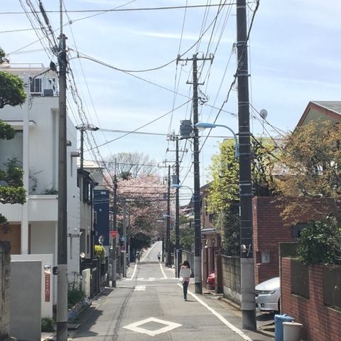 c32d607d.jpg