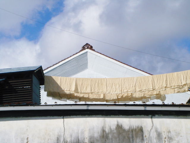 2011年01月18日_DSC08163