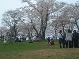 DSCF0101