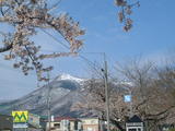 DSCF0075