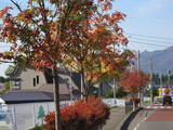 IMG_0512
