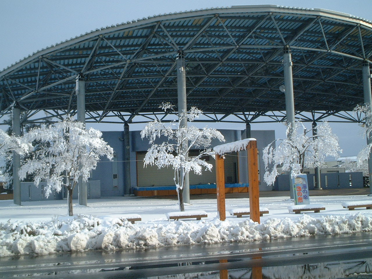 雪の華 の掲示板投稿写真＆画像