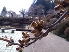 4月30日 水源地公園1