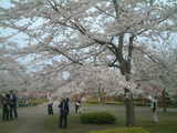 DSCF0124