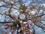 DSCF0052