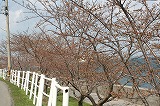 s-画像 080