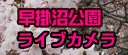 banner-1