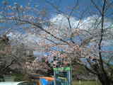 DSCF0048