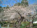 DSCF0080