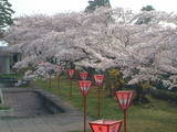 DSCF0067