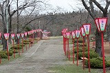 4月30日早掛公園2