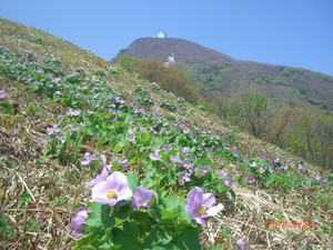 CIMG2619