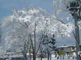 DSCF0014